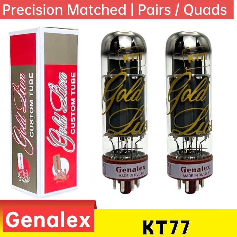 Diy With Electronics - GOLD LION KT77 Vacuum Tube HIFI